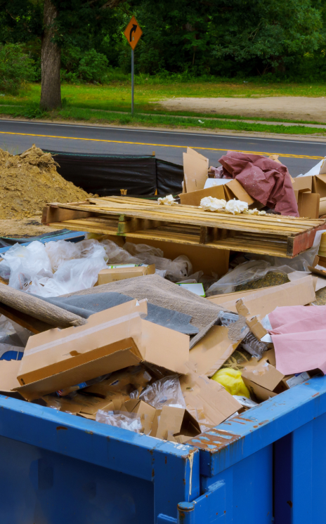 Untitled design - 2023-02-08T112559.019